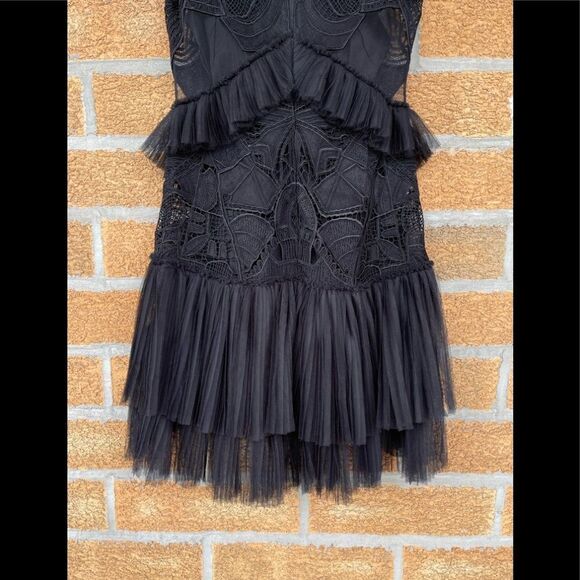 Jonathan Simkhai Lace and Tulle Mini Dress small - Picture 14 of 14